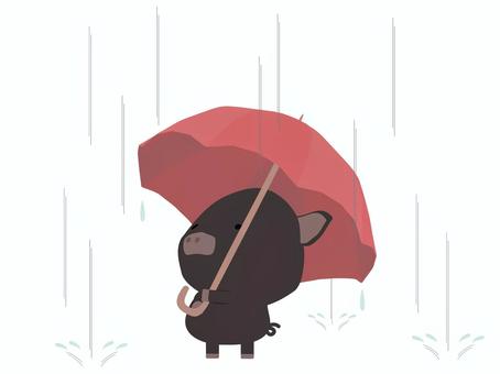 雨_豚 雨,ブタ,黒豚,動物,かわいい,傘,天気のイラスト素材