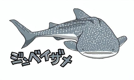 Illustration, whale shark, a shark, fish, 