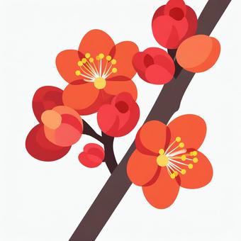 Illustration, plum, flower, spring, 