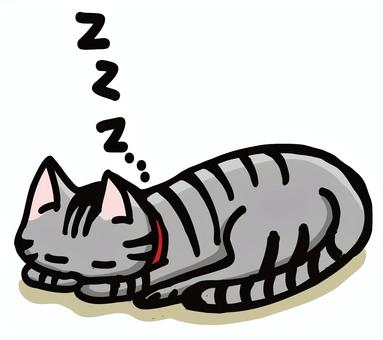 眠る猫 眠る猫 猫,寝る,動物,キャラクター,横になるのイラスト素材