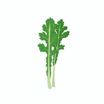 春菊 春菊 春菊,シュンギク,野菜,青菜,食べ物,食材,シンプル,手描き,手書き,イラストのイラスト素材