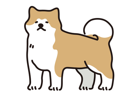 秋田犬のイラスト 秋田犬,あきたいぬ,犬,わんちゃん,わんこ,大型犬,動物,アニマル,ペット,愛玩動物のイラスト素材