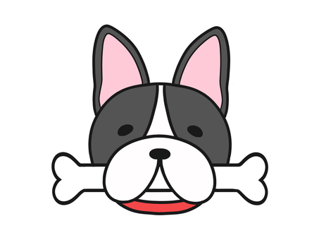 骨を咥えた　赤い首輪　フレンチブルドッグ 骨,フレンチブルドッグ,動物,生き物,挿絵,犬,首輪,生物,イラスト,顔のイラスト素材