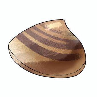 ハマグリ はまぐり,蛤,ハマグリ,海の幸,貝,海鮮,海の生物,水の生物,食べ物,二枚貝のイラスト素材