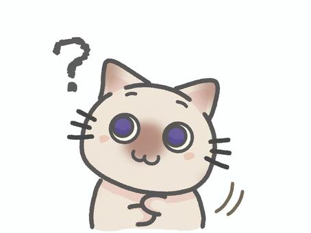 疑問をもつシャムねこ 疑問,質問,はてな,困る,考え中,どうしよう,猫,動物,マスコット,かわいいのイラスト素材
