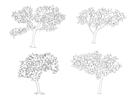 Illustration, monochrome, trees, natural, 