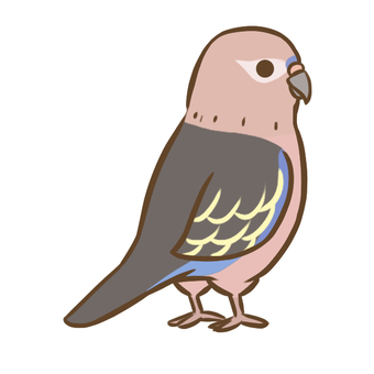 アキクサインコ7（ノーマル） アキクサインコ,インコ,鳥,ペット,デフォルメ,生き物,動物,かわいい,アイコンのイラスト素材