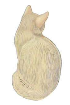 白いねこの後ろ姿 白猫,ねこ,後ろ姿,色鉛筆,素朴,優しい,手描きのイラスト素材