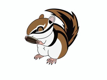 シマリス シマリス,リス科,動物,小動物,ひまわりの種,茶,黒のイラスト素材