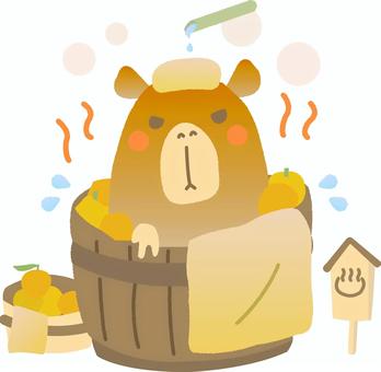 カピバラが柚子湯に入っているイラスト 冬至,12月,冬,カピバラ,柚子湯,かわいい,ゆるい,キャラクター,手描き,イラストのイラスト素材