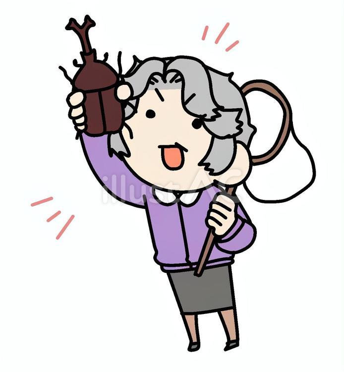 カブトムシとおばあさん おばあさん,カブトムシ,昆虫採集のイラスト素材