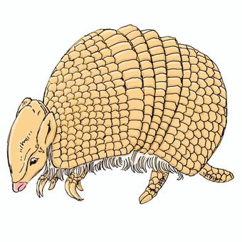 アルマジロ アルマジロ アルマジロ,手描き,動物のイラスト素材