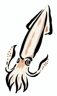 魷魚, JPG, PNG 和 AI 魷魚, sea creatures, fish, the squid, JPG, PNG 和 AI