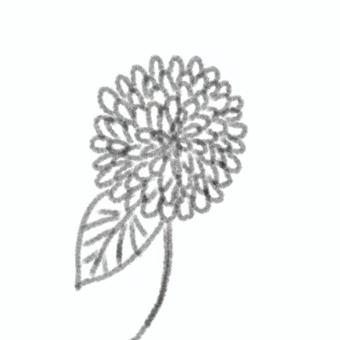 ダリアの花白黒 ダリア,花,白黒,モノトーン,シンプル,手書きのイラスト素材