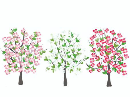 Cute tree background of flower tree, JPG and PNG Cute tree background of flower tree, flower tree, flower, wood, JPG and PNG
