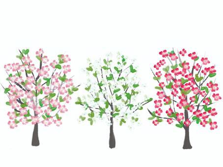 Cute tree background of flower tree, flower tree, flower, wood, JPG and PNG