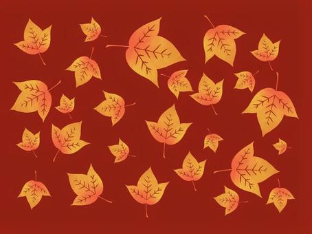 插圖, 台山甜木（liquidambar formosana）。, 台湾桉（liquidambar formosana）, 葉子, 