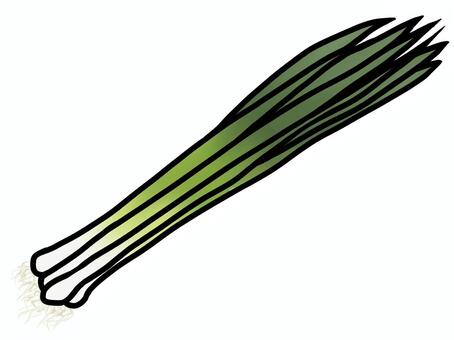 小ネギ 小ネギ,ねぎ,青ネギ,細ねぎ,万能ねぎ,野菜,緑色,食べ物,食品,食料品のイラスト素材