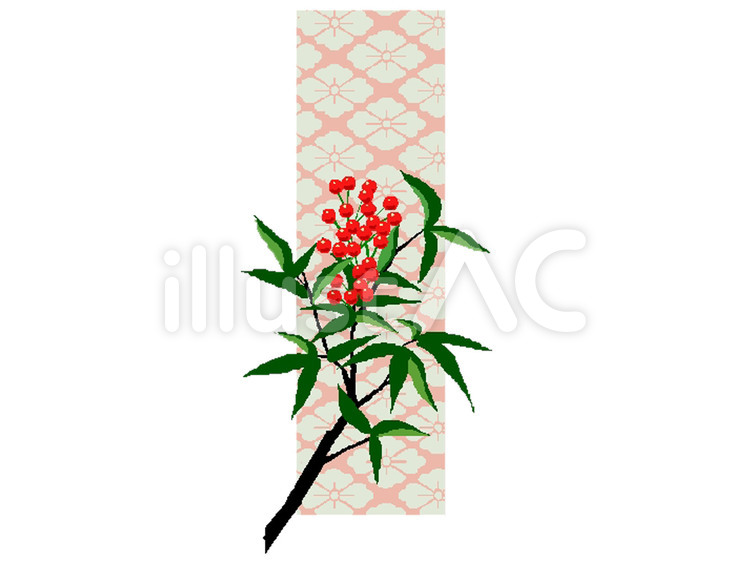 万両 万両,まんりょう,花のイラスト素材