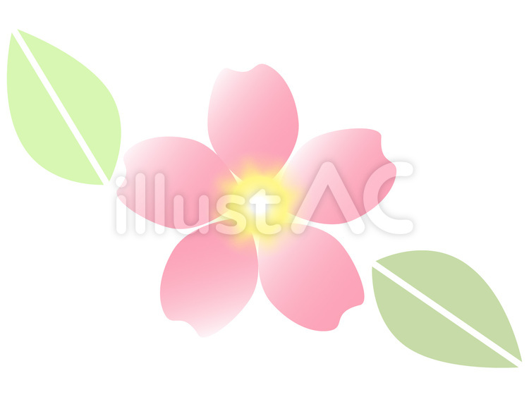 桜 beautiful,cute,カワイイのイラスト素材