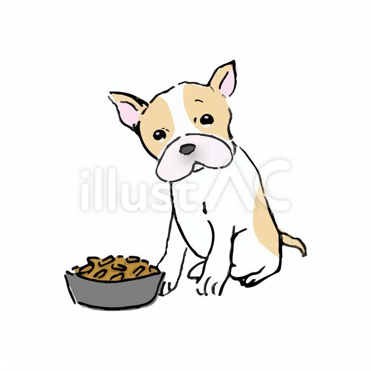 えさを食べようか様子をうかがっている犬 犬,動物,飼い犬のイラスト素材