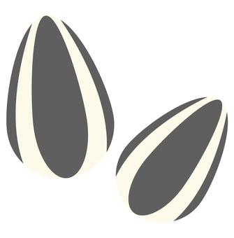 ひまわりの種 ひまわりの種 ひまわりの種,種,ひまわり,植物,エサ,シンプル,食べ物のイラスト素材