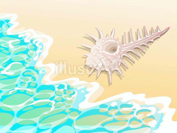 砂浜の貝殻 海,波,貝殻のイラスト素材