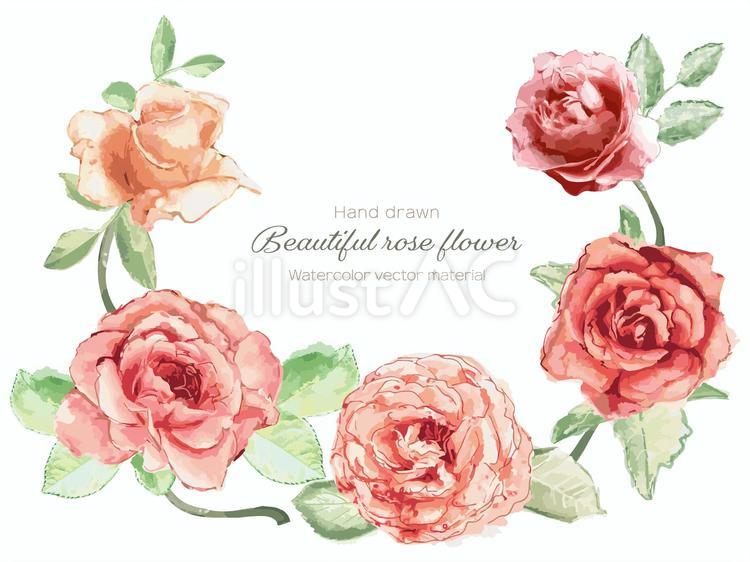 薔薇のフレーム 薔薇,バラ,花のイラスト素材