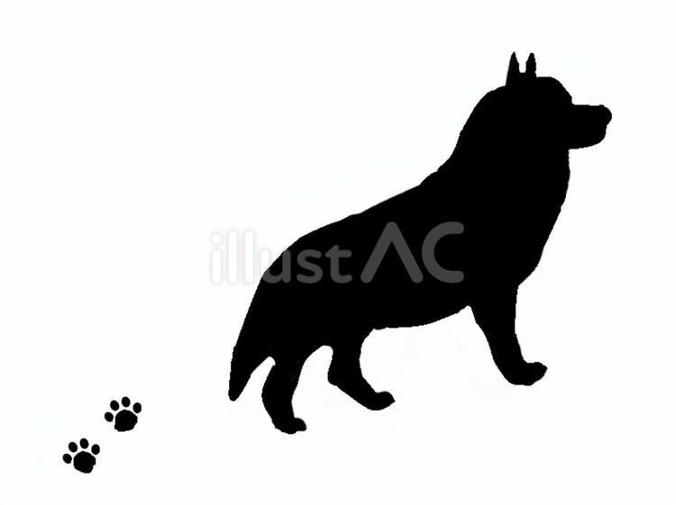 犬。。 犬,シルエット,動物のイラスト素材