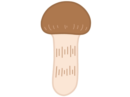 まつたけ まつたけ,きのこ,食べ物,秋,ゆるい,シンプルのイラスト素材