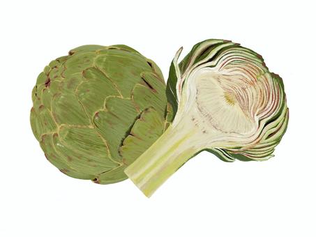 朝鮮薊 朝鮮薊