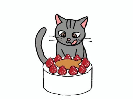 ペットケーキ(猫用) ケーキ,猫,食べ物,おやつ,いちご,生クリーム,誕生日,お祝い,ペット,我慢のイラスト素材
