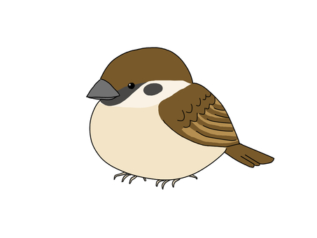 スズメ すずめ,ふくら雀,野鳥,1羽,鳥,茶色,動物のイラスト素材