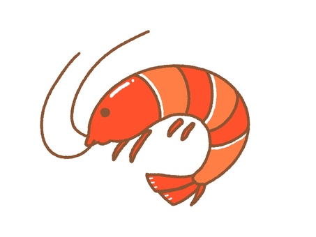 かわいいお正月の海老イラスト 海老,お正月,食べ物,お節,お祝い,新年,新春,手描き,シンプル,可愛いのイラスト素材