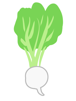 白カブ カブ,食べ物,野菜,葉,シンプル,おいしい,かわいいのイラスト素材