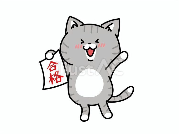 合格おめでとう！キジトラ猫ちゃん ねこ,合格,勉強のイラスト素材