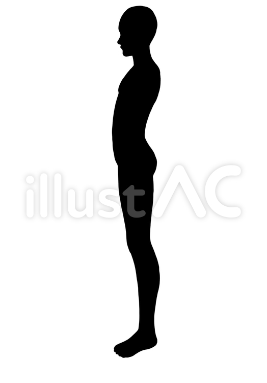 人体図　矢状面　男性　シルエット 人体図,矢状面,男性のイラスト素材