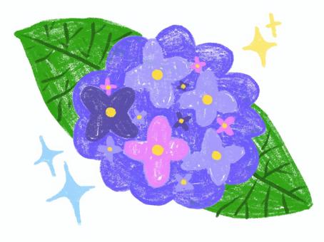 手書き風の紫陽花のイラスト　キラキラ 紫陽花,花,手書き風,キラキラ,紫,葉,色鉛筆のイラスト素材