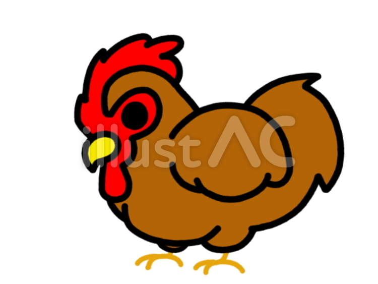 にわとりリアル　茶 にわとり,鶏,鳥のイラスト素材