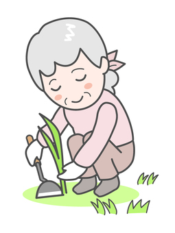 草引きをする高齢の女性001 草引き,除草,草,雑草,草とり,草むしり,雑草とり,ひく,草刈り,草かきのイラスト素材