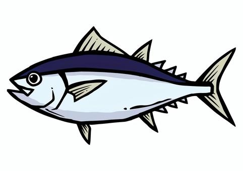 マグロの手描きイラスト マグロ,鮪,魚,生き物,海,アイコン,ベクター,イラストのイラスト素材