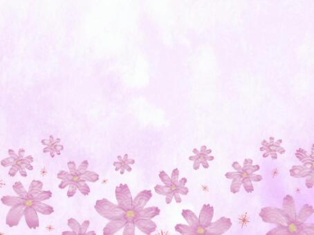 コスモスと和柄の背景 コスモス,秋桜,秋,花,背景,水彩,水彩風,紫,パープル,和柄のイラスト素材