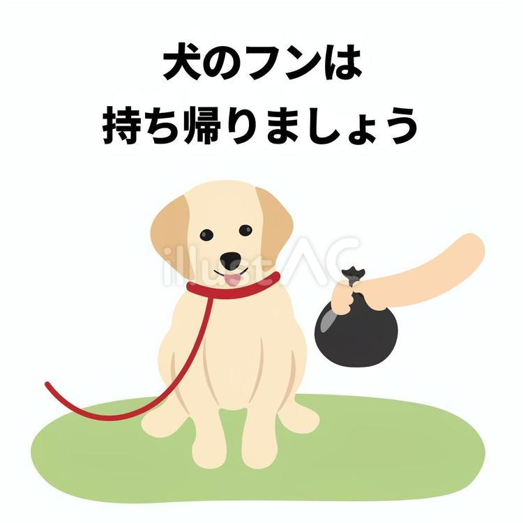 犬のフン持ち帰っての張り紙 フン,犬,ゴールデンレトリバーのイラスト素材