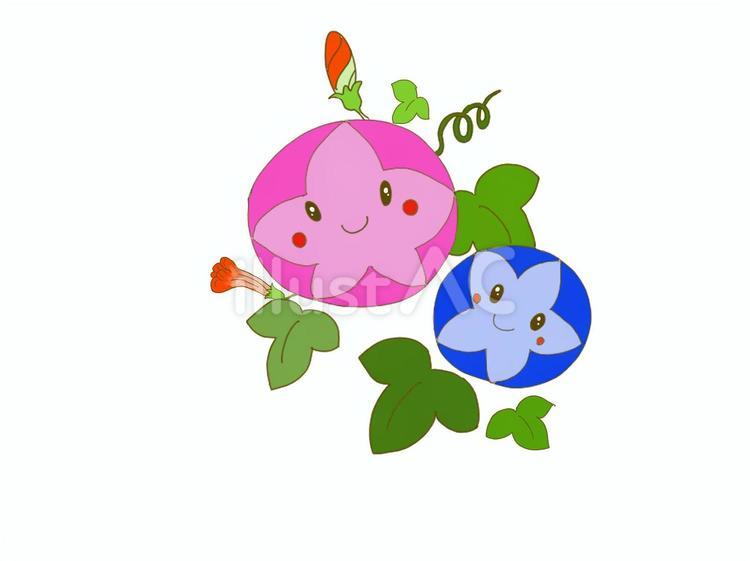 あさがお（おたより用） 手書き,カラー,夏のイラスト素材