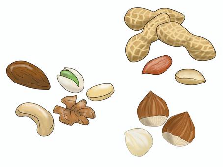 色々なナッツ ピーナッツ,アーモンド,カシューナッツ,ピスタチオ,くるみ,ヘーゼルナッツ,セット,色々な,様々な,ナッツのイラスト素材