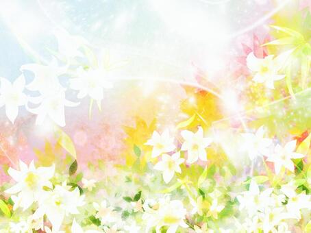 flower, JPG flower, , JPG