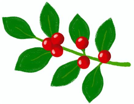 クリスマス植物 赤い実と葉がついた枝 クリスマス植物 赤い実と葉がついた枝 クリスマス,赤,実,葉,枝,手書き,植物,かわいい,油彩,絵の具のイラスト素材