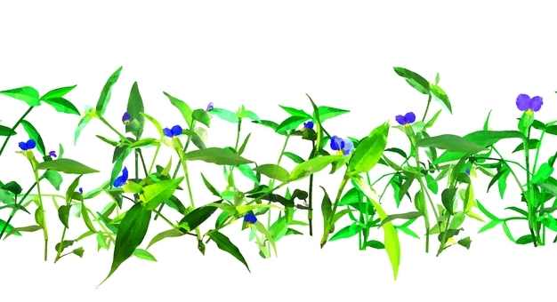 エンボス加工の横シームレスなツユクサ  ツユクサ,露草,夏,花,藍色,雑草,水彩,植物,自然,模様のイラスト素材