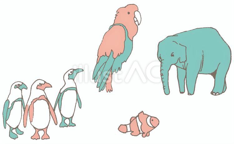 ハワイのモチーフ 02 ペンギン,オウム,魚のイラスト素材