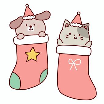 クリスマス靴下からひょっこり犬猫 クリスマス,靴下,犬,猫,動物,冬,サンタ,帽子,線画,可愛いのイラスト素材